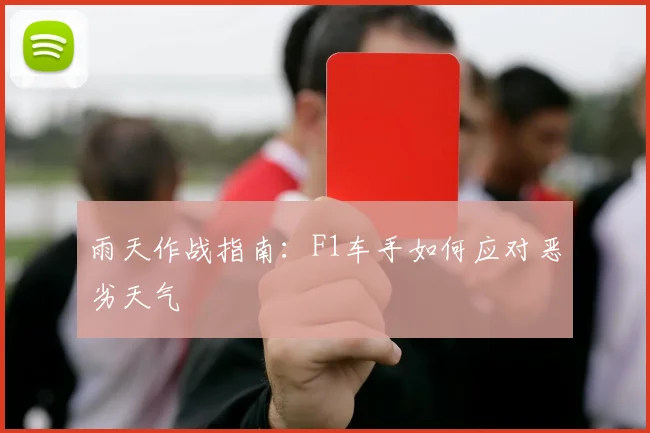 雨天作战指南:F1车手如何应对恶劣天气